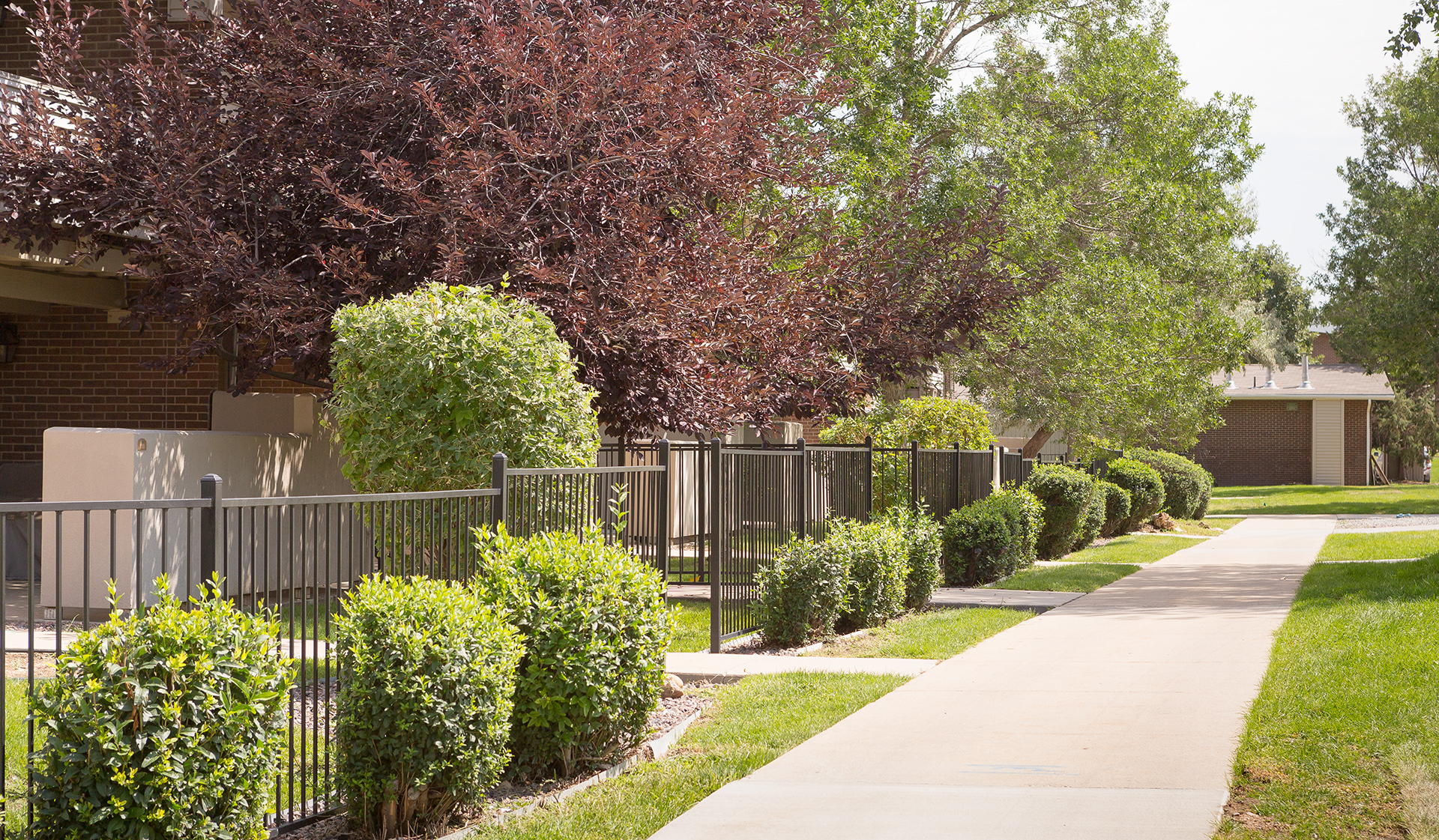 Pet-friendly paths throughout our community
