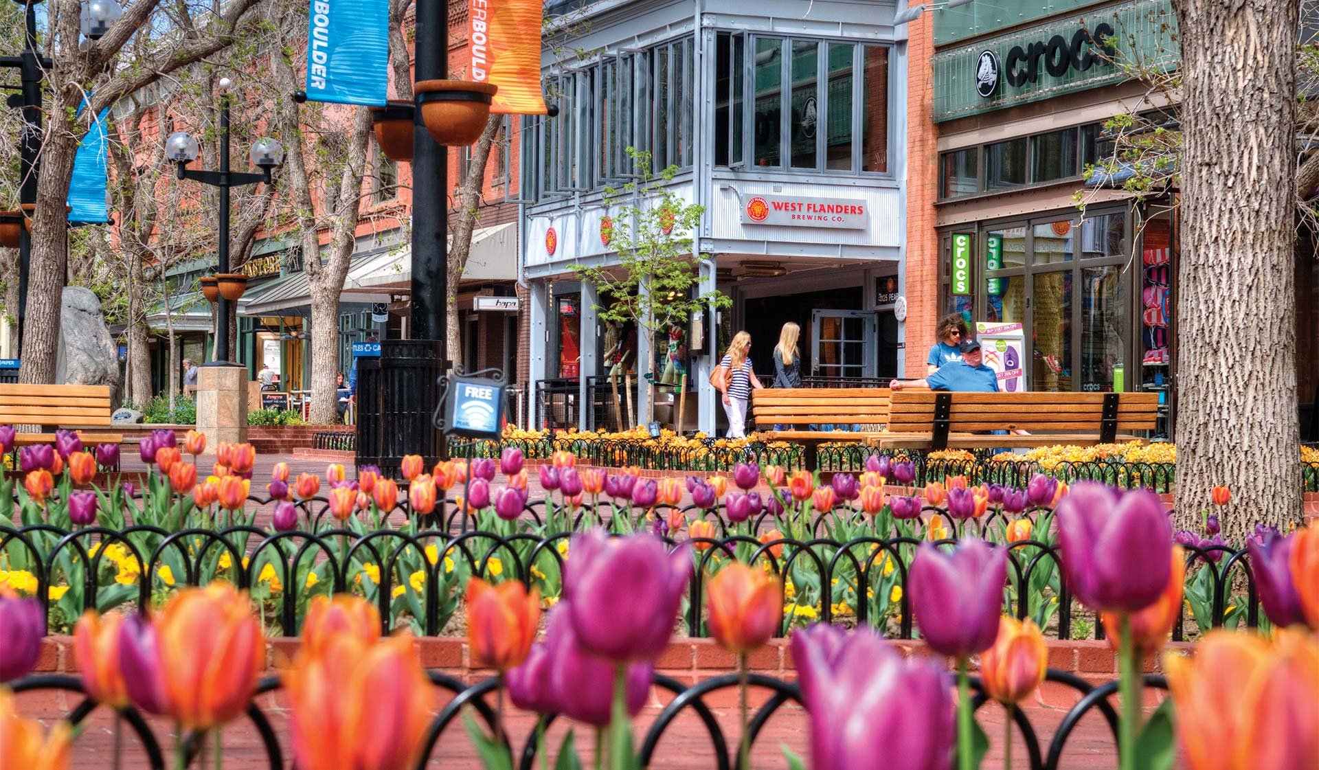 Plenty of nightlife options on Pearl Street